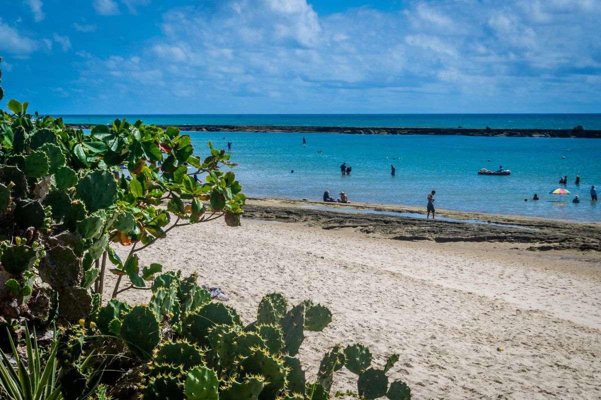 praia do frances